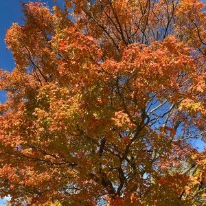 Meet your Posher, Kerstin